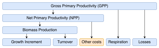 Carbon allocation model
